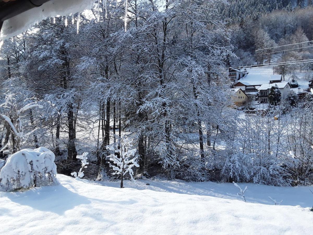 Relax 2 Apartment Bad Wildbad Exterior photo